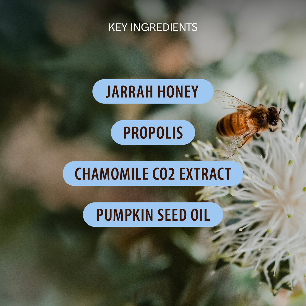 Jarrah Honey Balm
